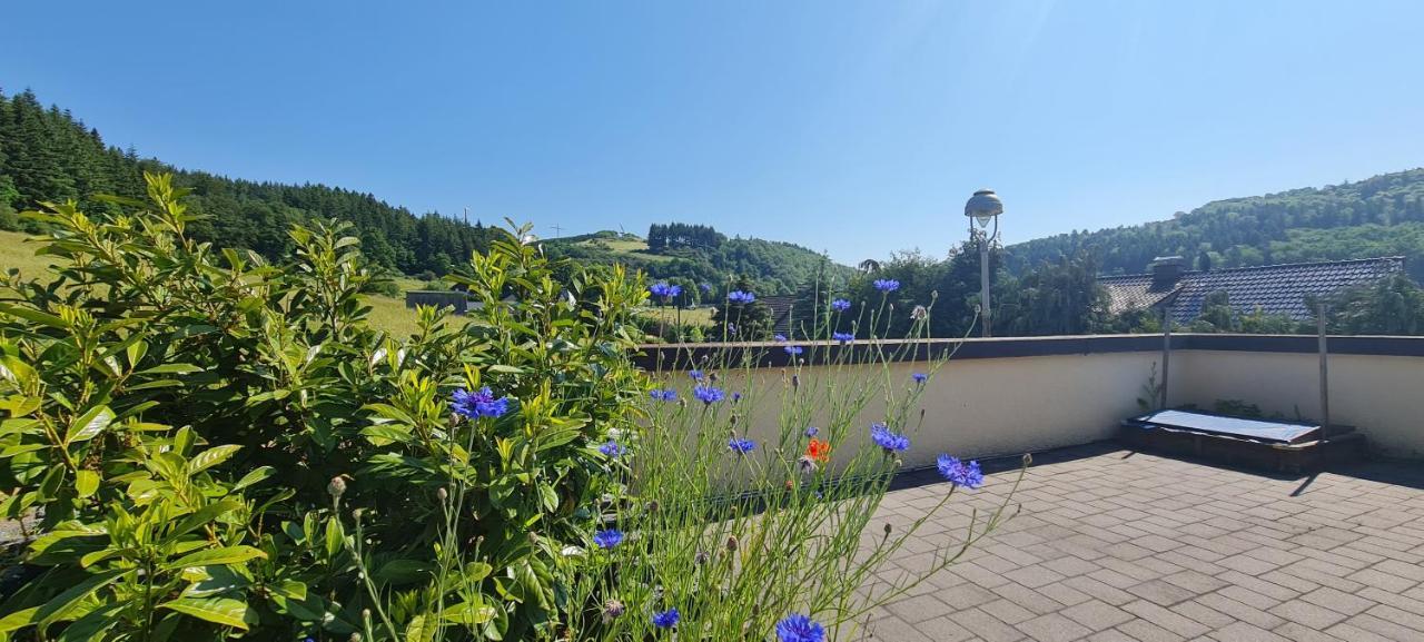 Romy Hohenfels-Essingen