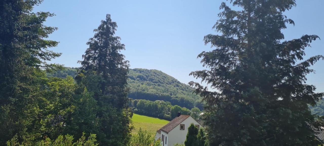 Romy Hohenfels-Essingen